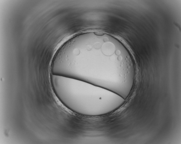 X0000102510957200808081004