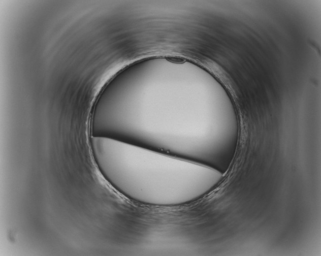 X0000102510958200808081004