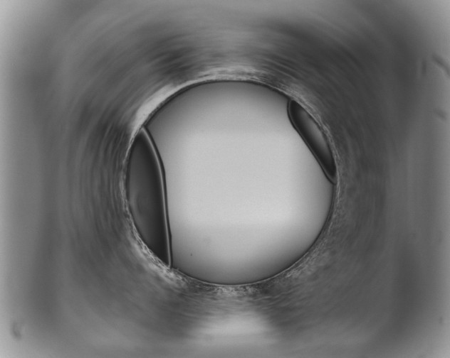 X0000102510960200808081004
