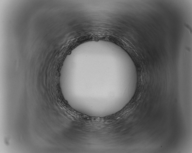 X0000102510961200808081003