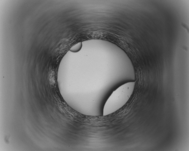 X0000102510962200808081003