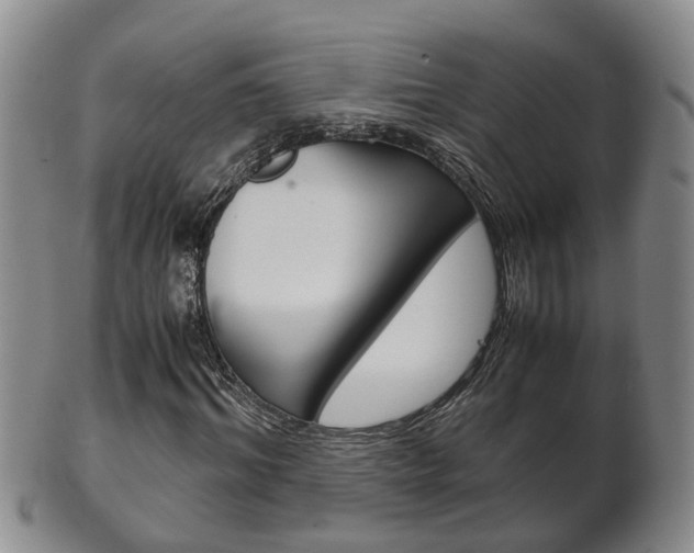 X0000102510964200808081003