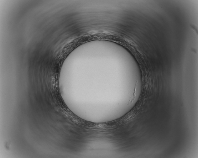 X0000102510966200808081003