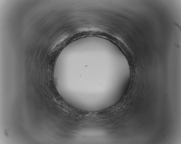 X0000102510967200808081003
