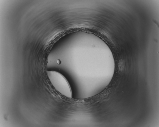 X0000102510968200808081003