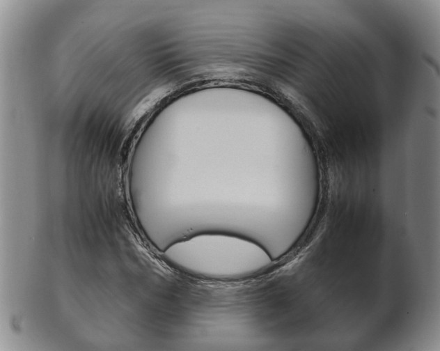 X0000102510970200808081003