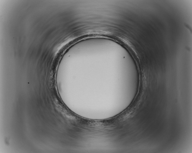 X0000102510971200808081003