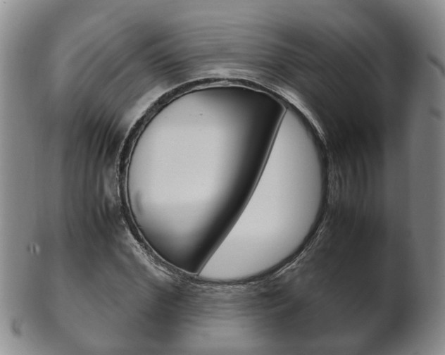 X0000102510972200808081003