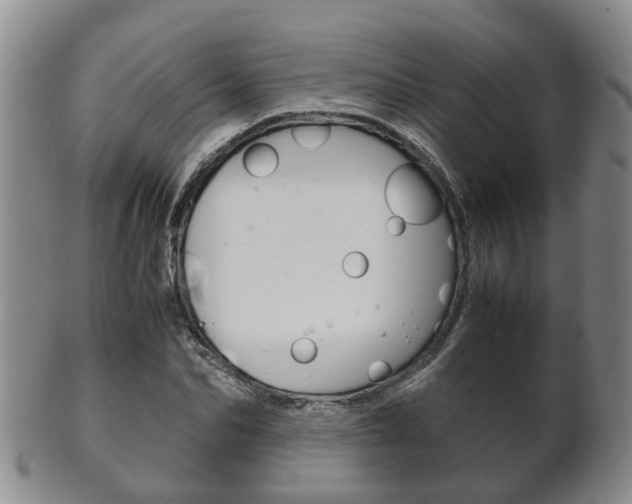 X0000102510974200808081003