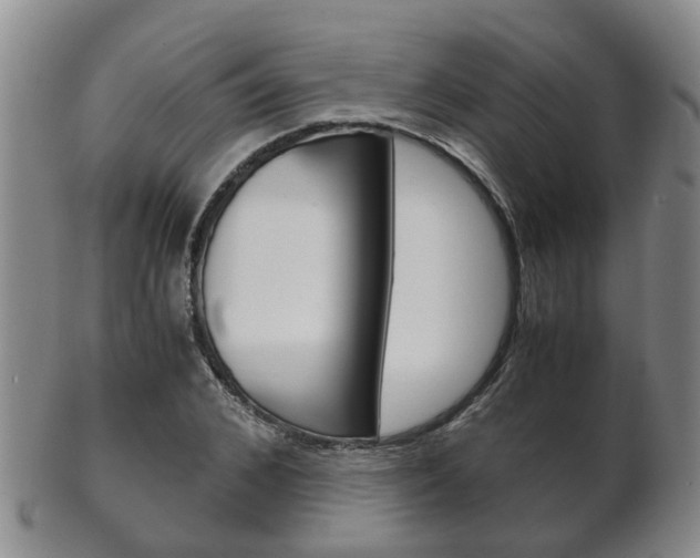 X0000102510976200808081003