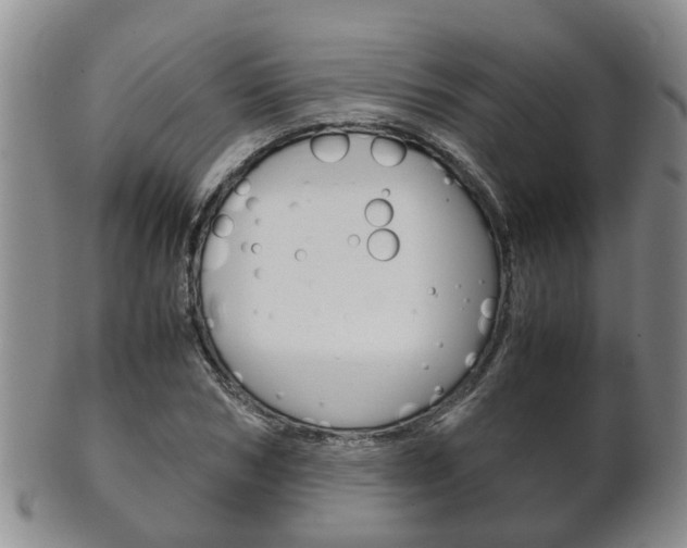 X0000102510978200808081003