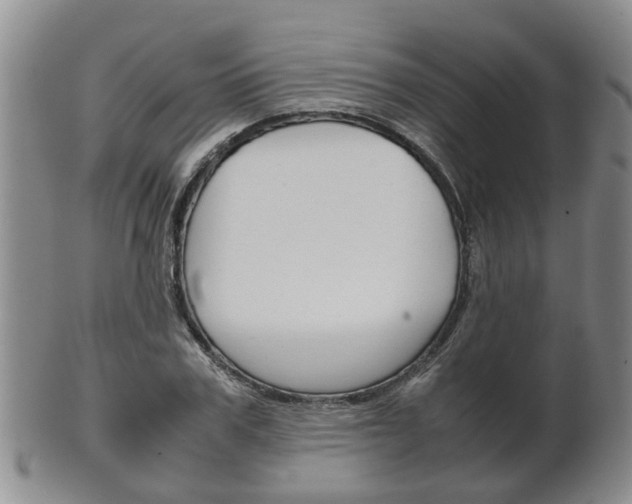 X0000102510979200808081003