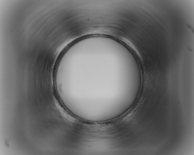 X0000102510980200808081003