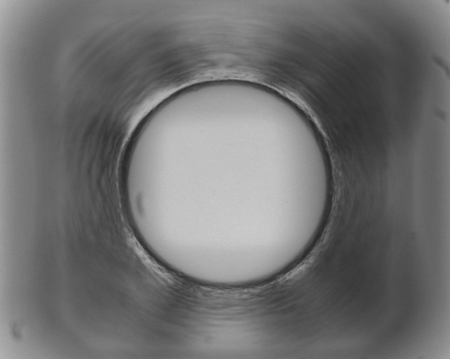 X0000102510981200808081003
