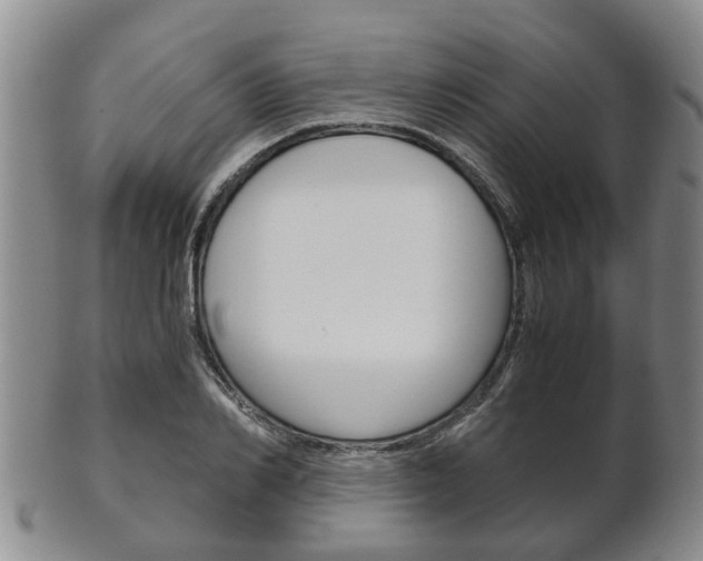 X0000102510982200808081003
