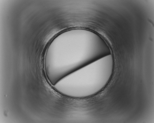 X0000102510983200808081003