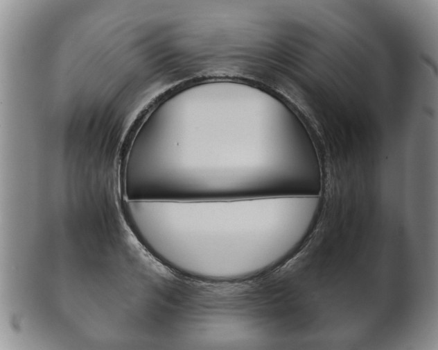 X0000102510984200808081003