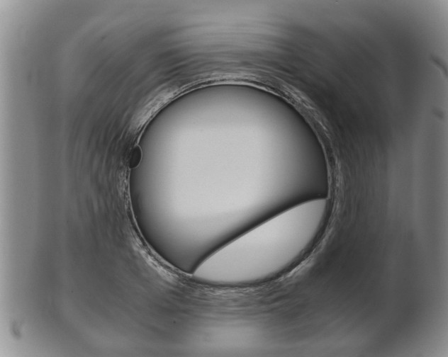 X0000102510985200808081003