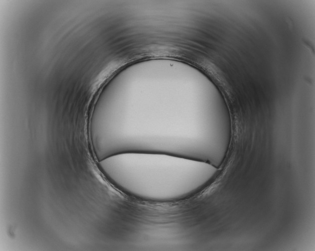 X0000102510986200808081003