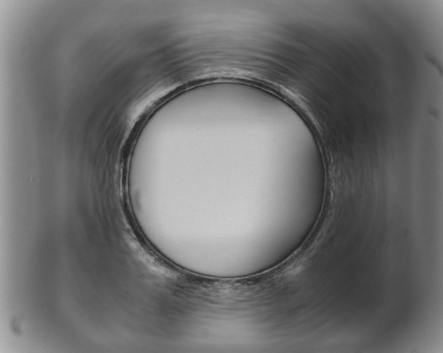 X0000102510987200808081003