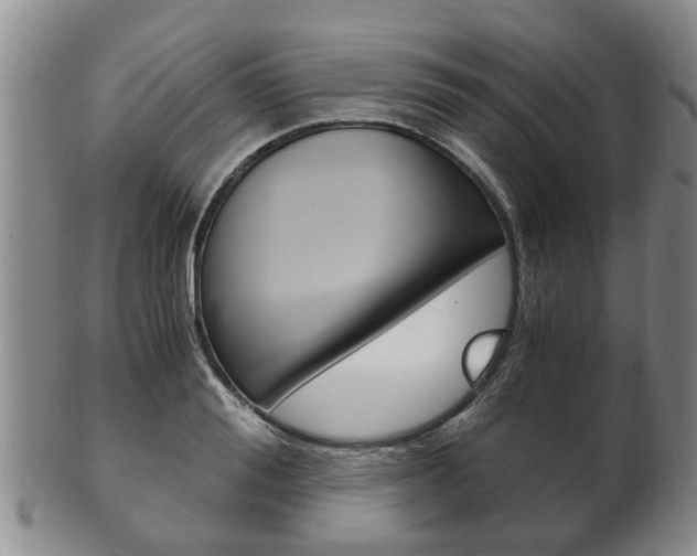 X0000102510988200808081003