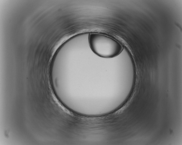 X0000102510989200808081003