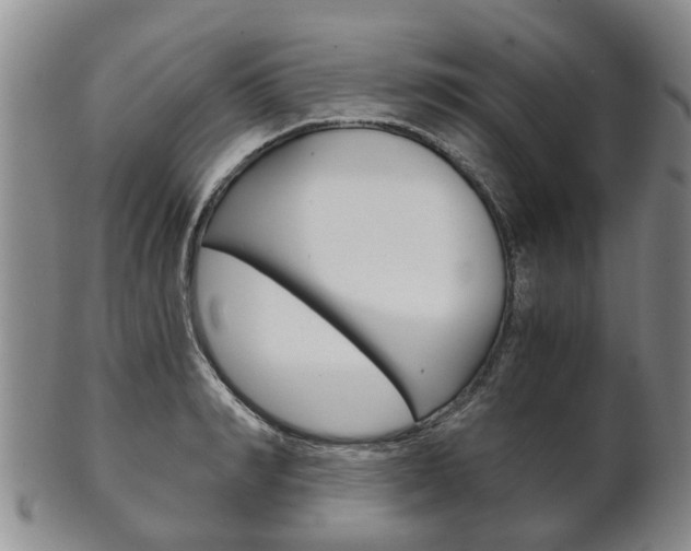 X0000102510990200808081003