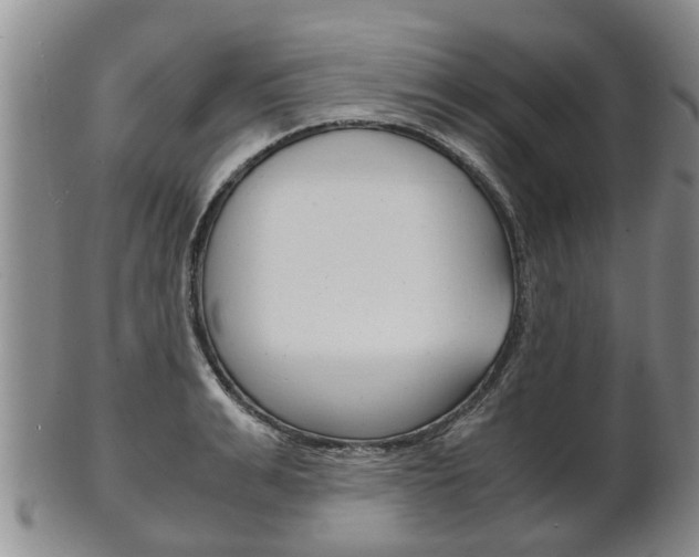 X0000102510991200808081003