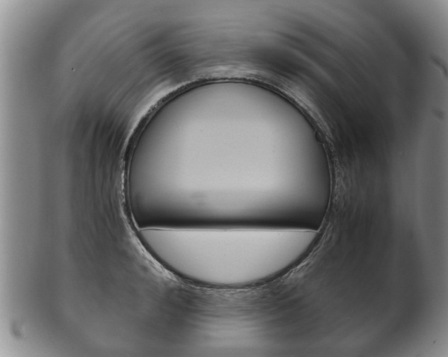 X0000102510992200808081003