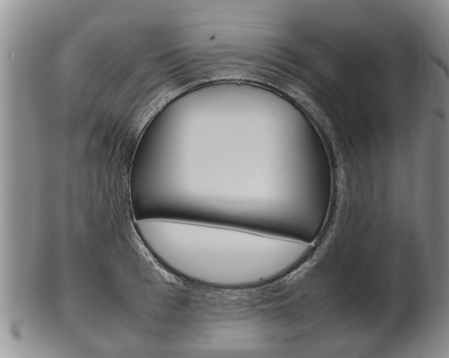 X0000102510993200808081003