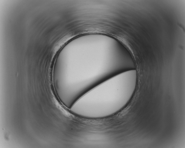 X0000102510995200808081003