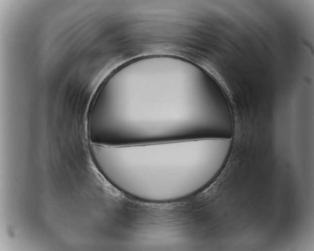 X0000102510996200808081003
