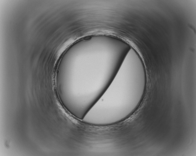 X0000102510997200808081003