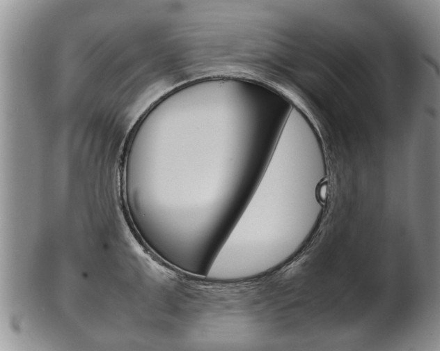 X0000102510999200808081003