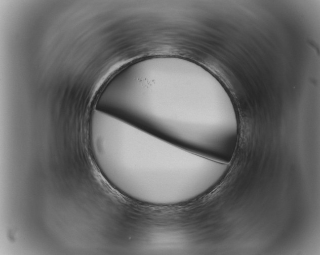 X0000102511000200808081003