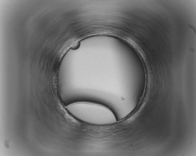 X0000102511001200808081003
