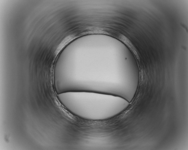 X0000102511002200808081003