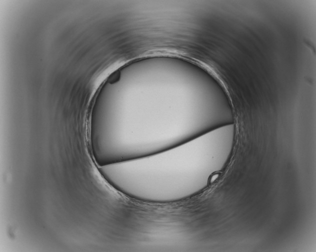 X0000102511003200808081003