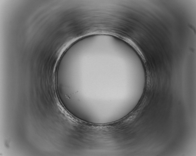 X0000102511004200808081003