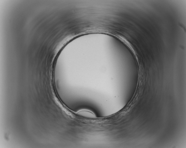 X0000102511005200808081003