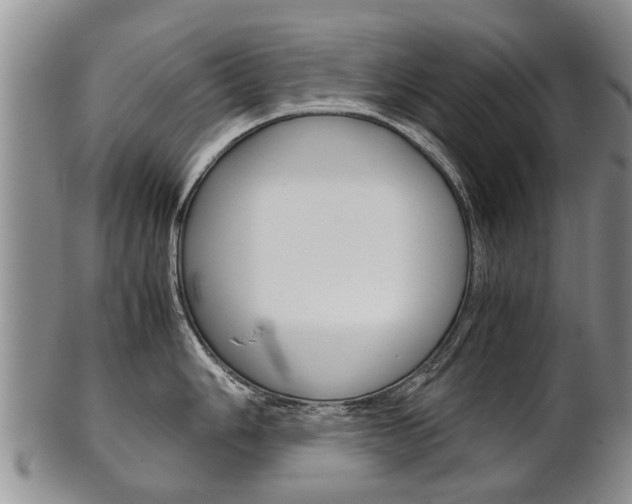 X0000102511006200808081003