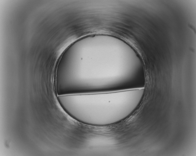 X0000102511007200808081002