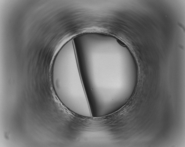 X0000102511008200808081002