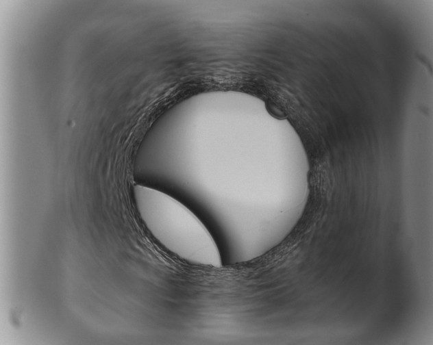X0000102511009200808081002