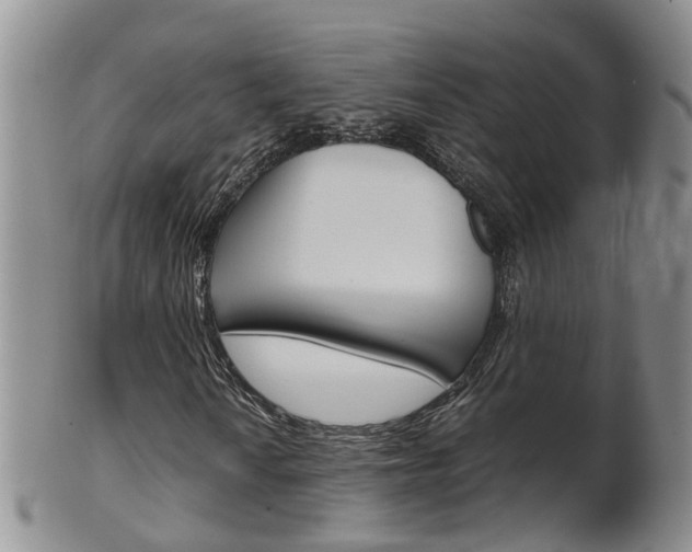 X0000102511010200808081002