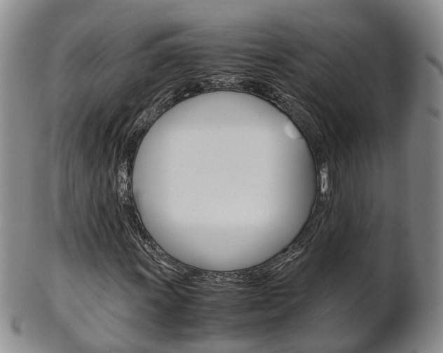 X0000102511011200808081002