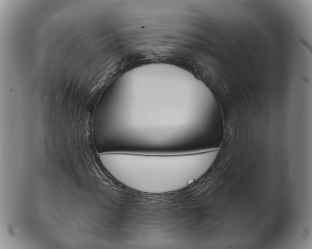 X0000102511012200808081002