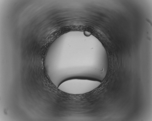 X0000102511013200808081002