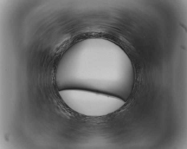 X0000102511014200808081002