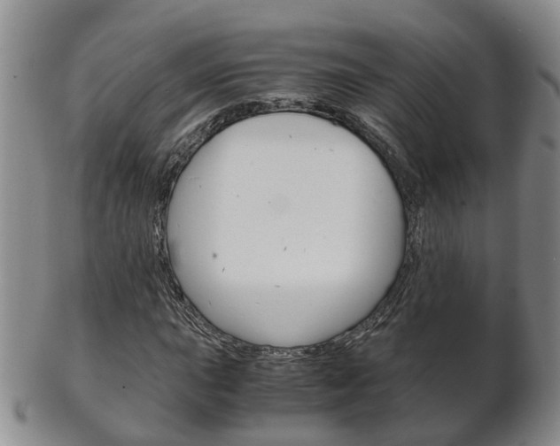 X0000102511015200808081002